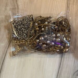 Two Pound Costume jewelry bag
